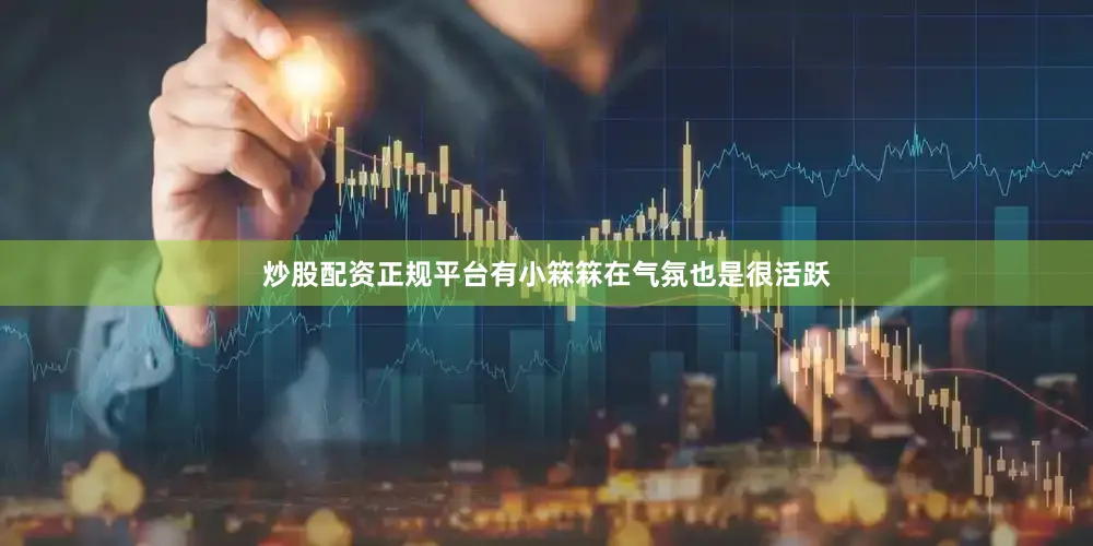 炒股配资正规平台有小箖箖在气氛也是很活跃