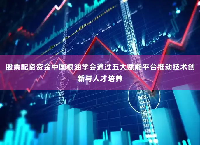 股票配资资金中国粮油学会通过五大赋能平台推动技术创新与人才培养