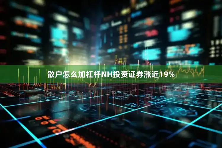 散户怎么加杠杆NH投资证券涨近19%