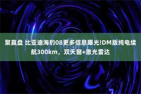 聚赢盘 比亚迪海豹08更多信息曝光!DM版纯电续航300km，双天窗+激光雷达