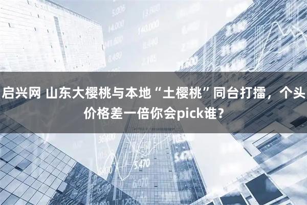 启兴网 山东大樱桃与本地“土樱桃”同台打擂，个头价格差一倍你会pick谁？