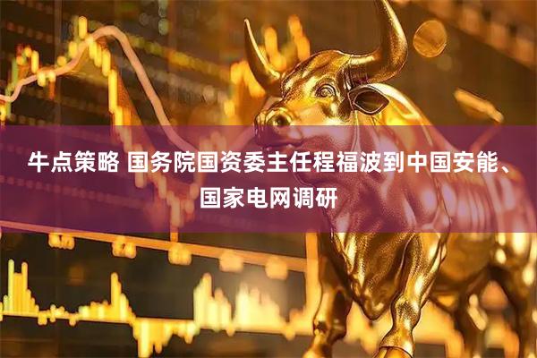 牛点策略 国务院国资委主任程福波到中国安能、国家电网调研
